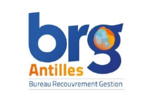 Clients Koseico-Brg