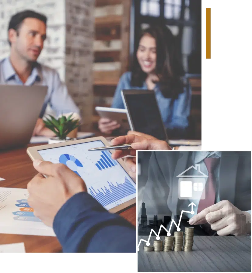 Investment advisory service – capital opportunities