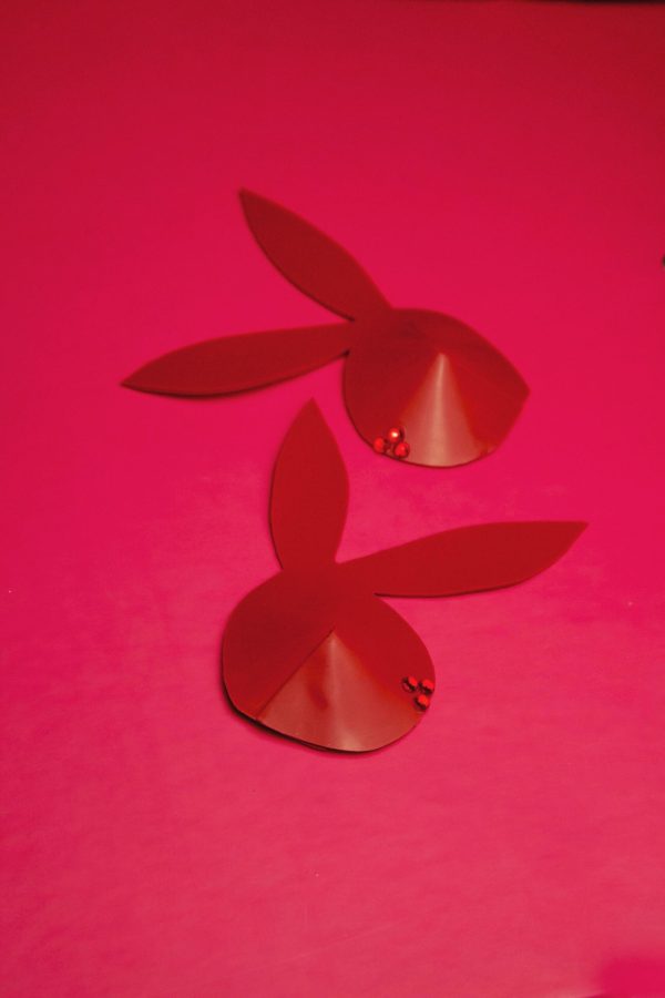 PLAYBOY BUNNY LATEX NIPPLE PASTIES ( PICK YOUR COLOUR ) - Image 2