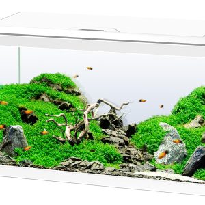 Akvarium Vitt Aquarium 60 Ciano