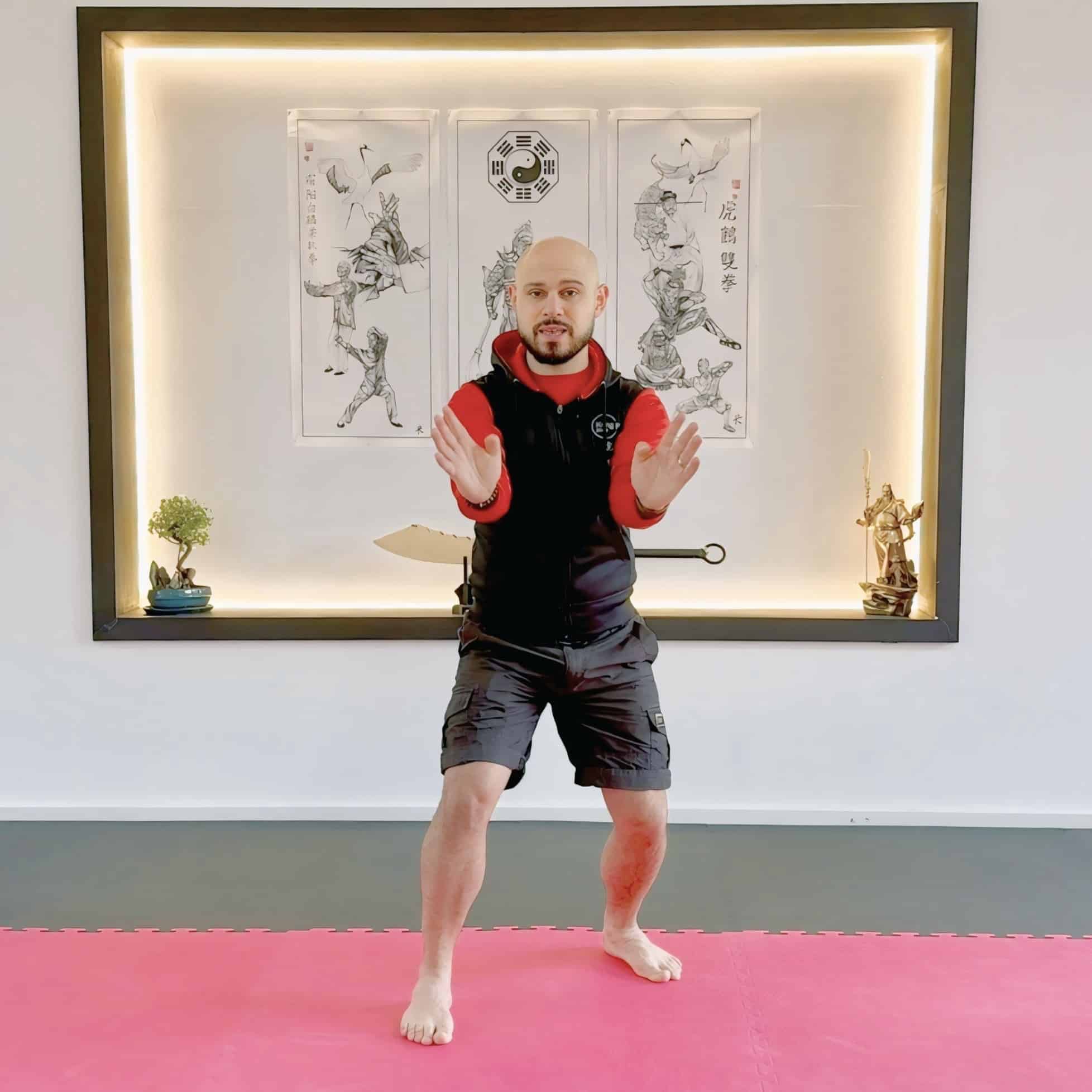 online kung fu lessons