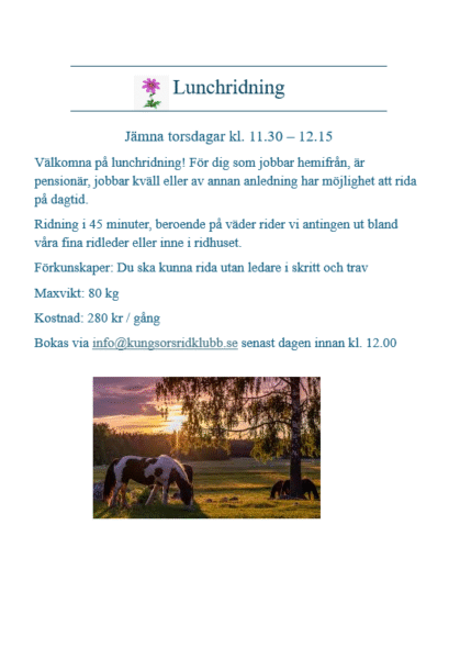 Hemsida lunchridning