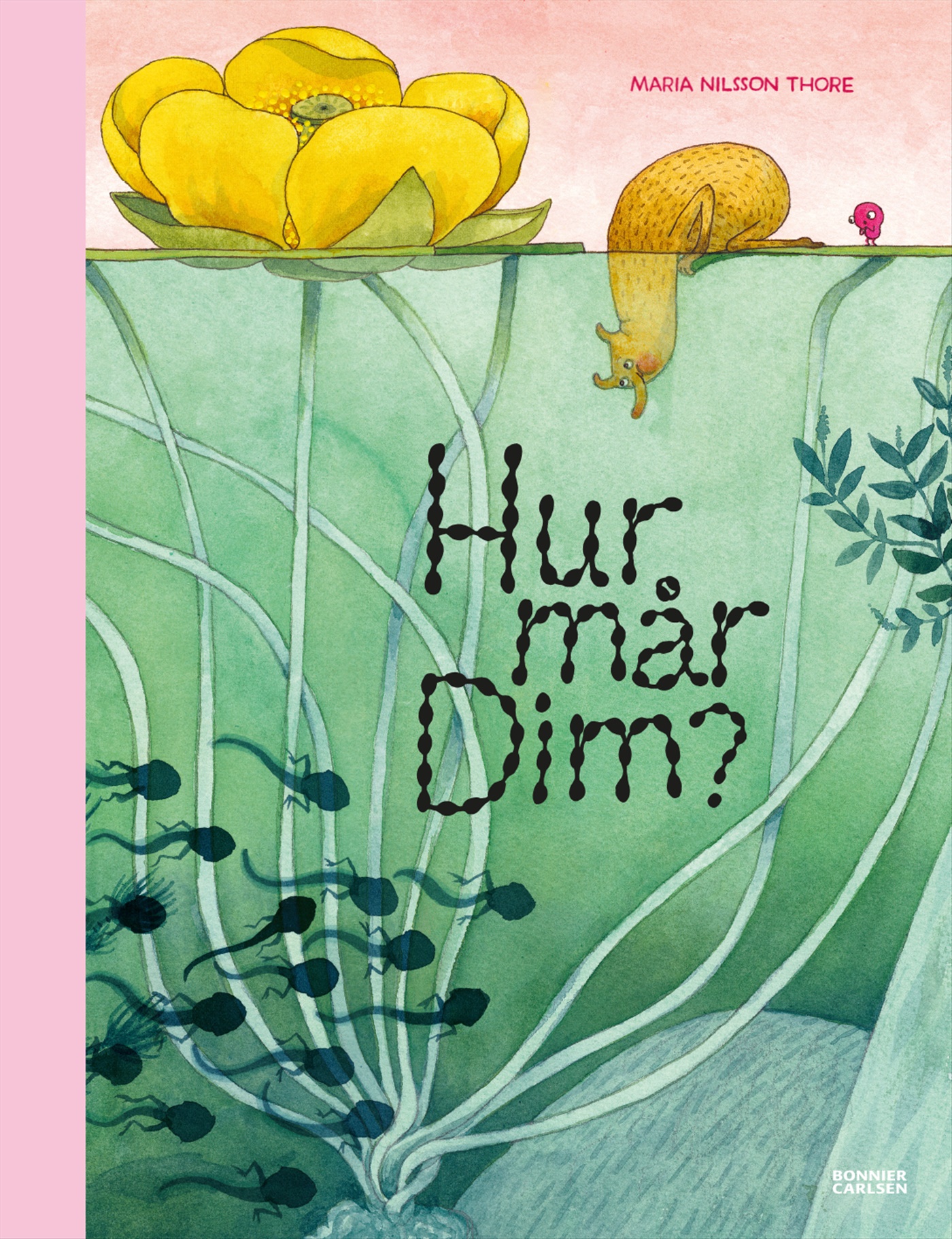 Hur mår dim
