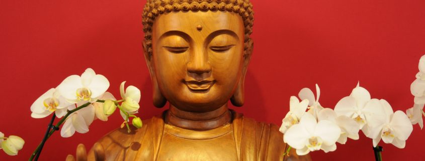Buddha in the dharma room