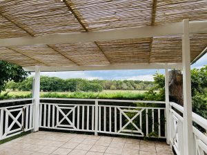 Pergola en canisses