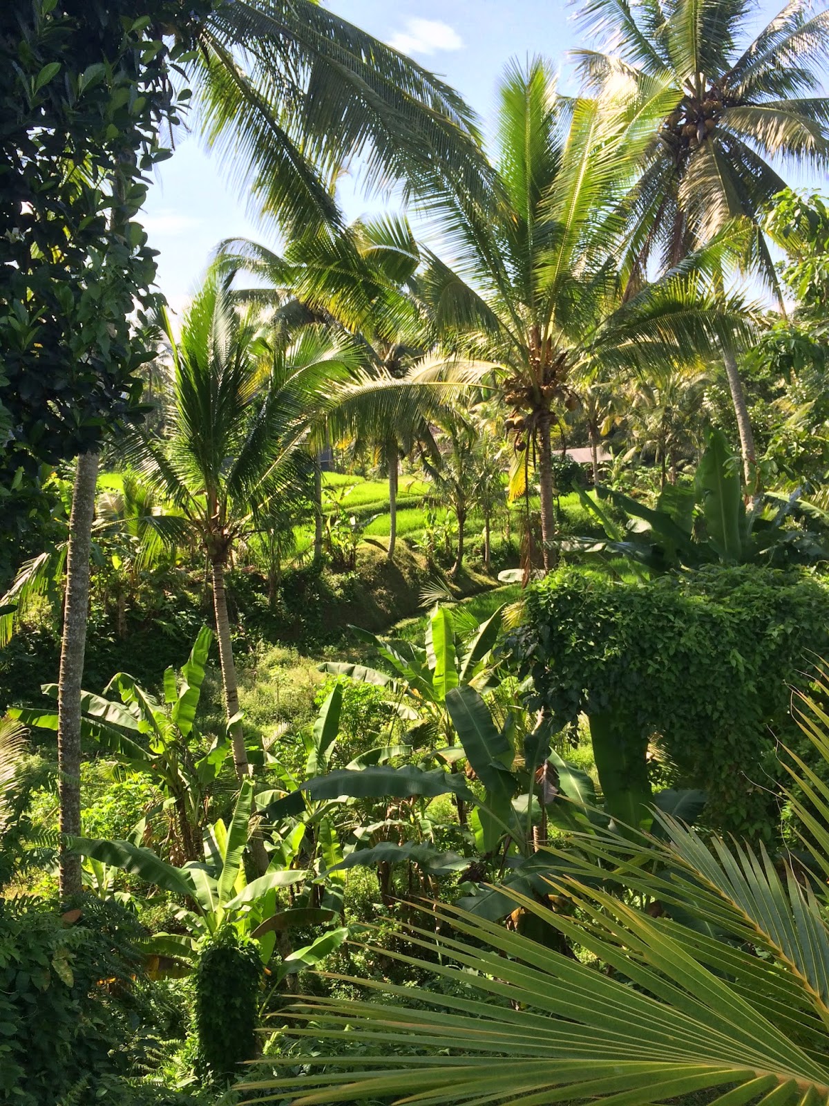 Ubud – et Balimust