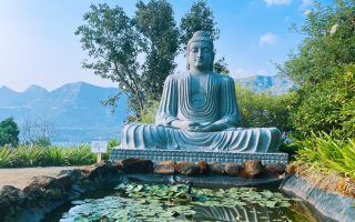 viele Buddha Statuen im Atmantan Ayurveda Yoga und Wellness Retreat in Indien. Meine Reise nach Indien