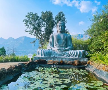 viele Buddha Statuen im Atmantan Ayurveda Yoga und Wellness Retreat in Indien. Meine Reise nach Indien