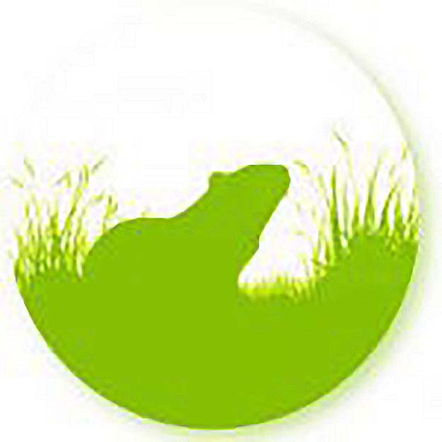 Meerschweinchenwiese_Logo