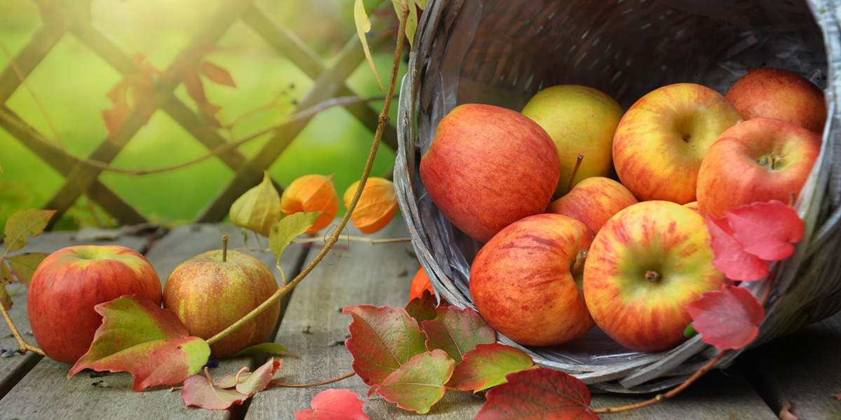 apples-1776744 hems