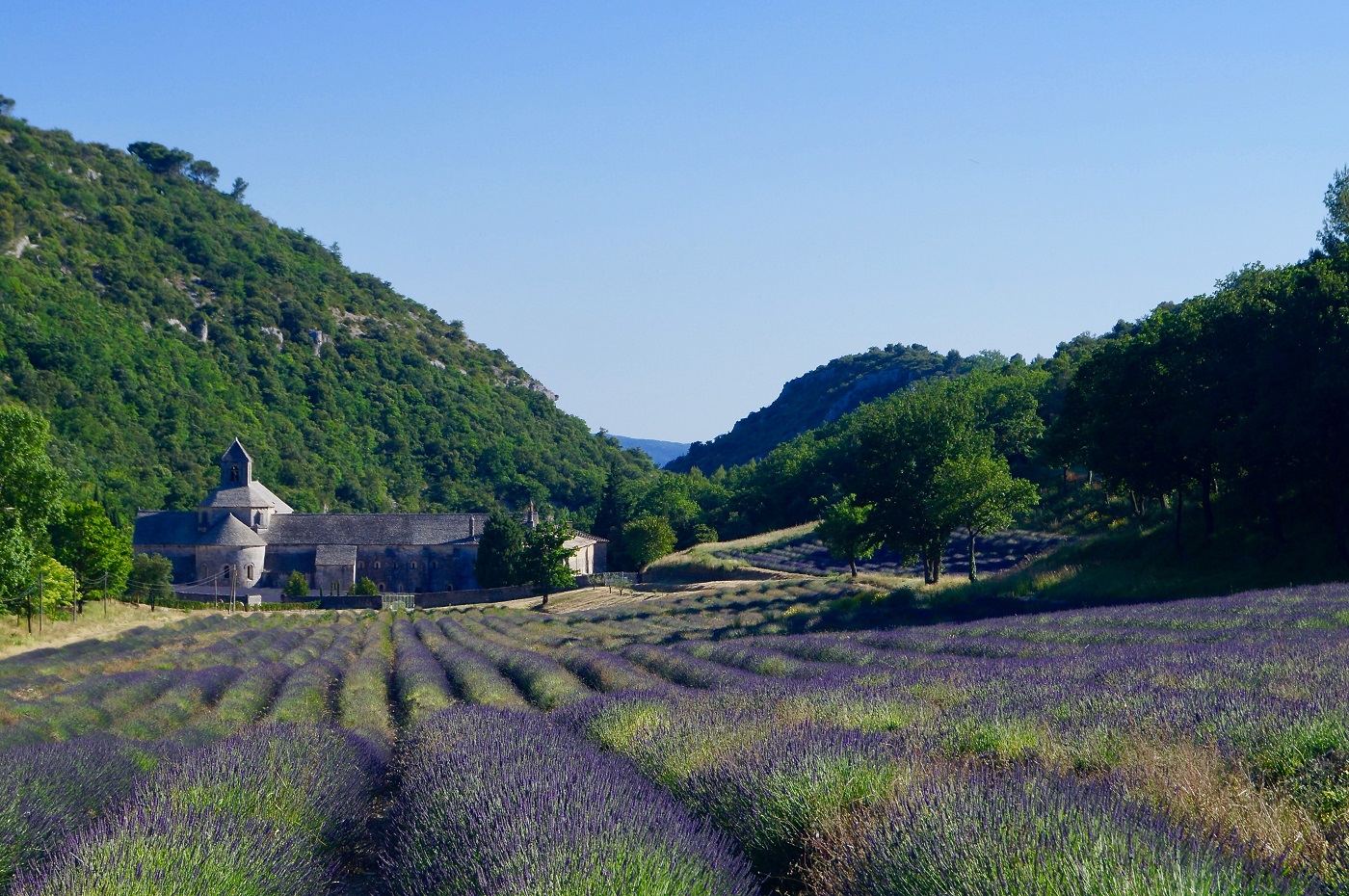 Route de lavande – lavendelvägen genom Provence