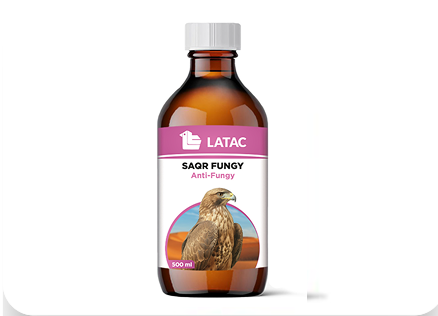 SAQR FUNGY