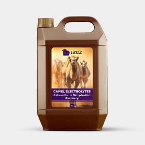 CAMEL ELECTROLYTES - Electrolytes for exhaustion and dehydration recovery