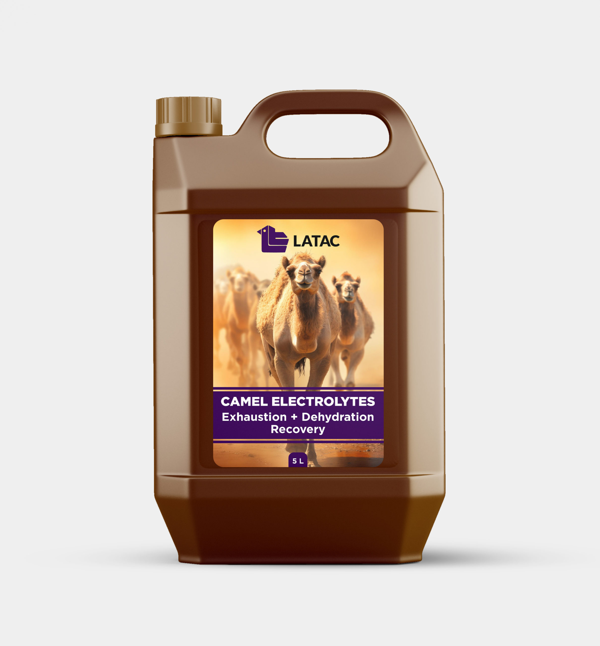 CAMEL ELECTROLYTES - Electrolytes for exhaustion and dehydration recovery