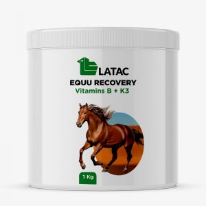EQUU RECOVERY - Recovery after illnes/stress. Vitamins B+K