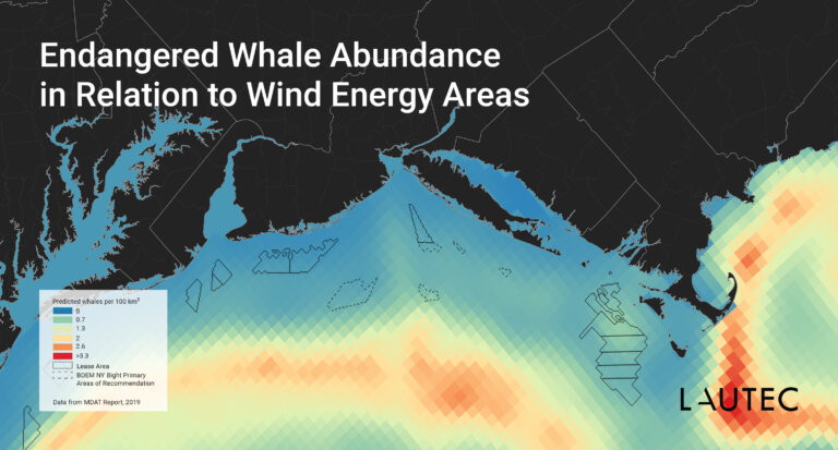 US offshore wind and mammals