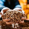 The State of the Wood Pellet Market: Opportunities and Challenges