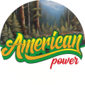 AMERICAN POWER