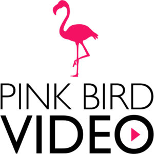 Pink Bird Video