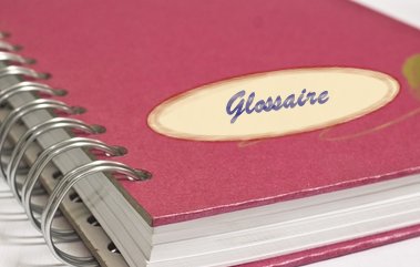 Comment garantir une traduction cohérente ? (1/2 : le glossaire)