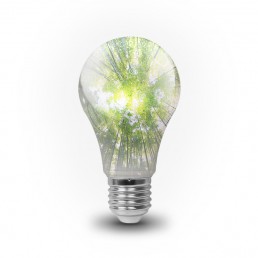 hållbar belysning