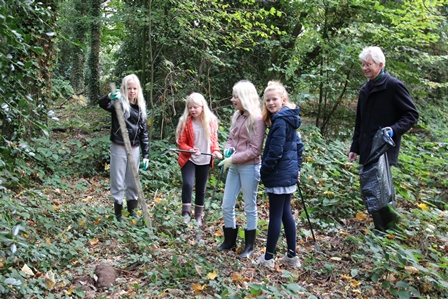 Foto’s opruimen Bos van Bosman