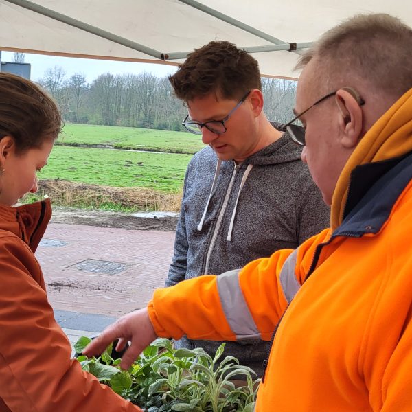 De Vogelwijk fleurt op -tweede plantdag