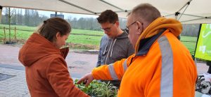 De Vogelwijk fleurt op -tweede plantdag