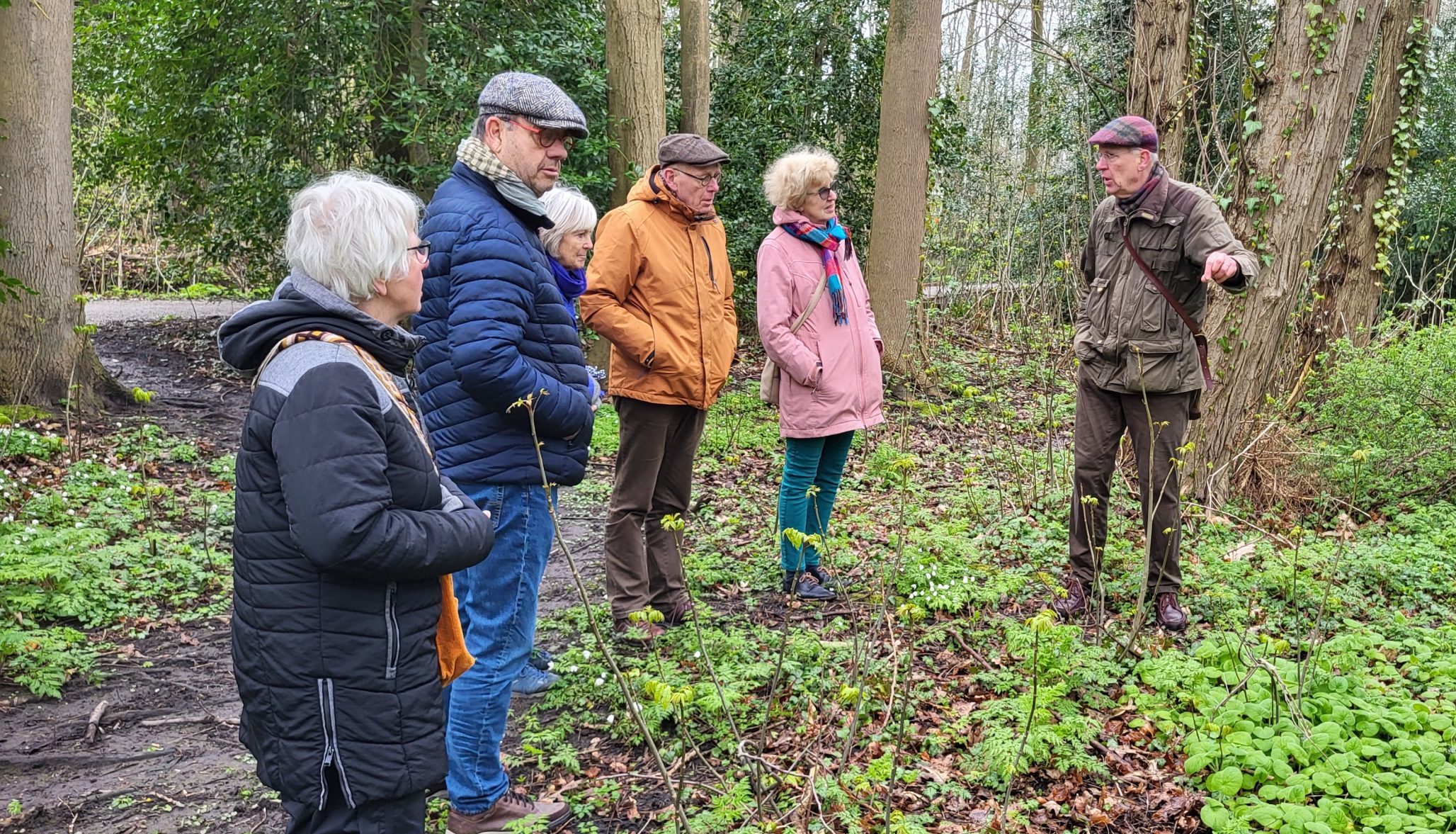 Wandeling Bos van Bosman. Voorjaar: de stinzen!