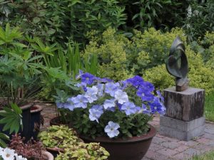 Open-Tuinendag Vogelwijk