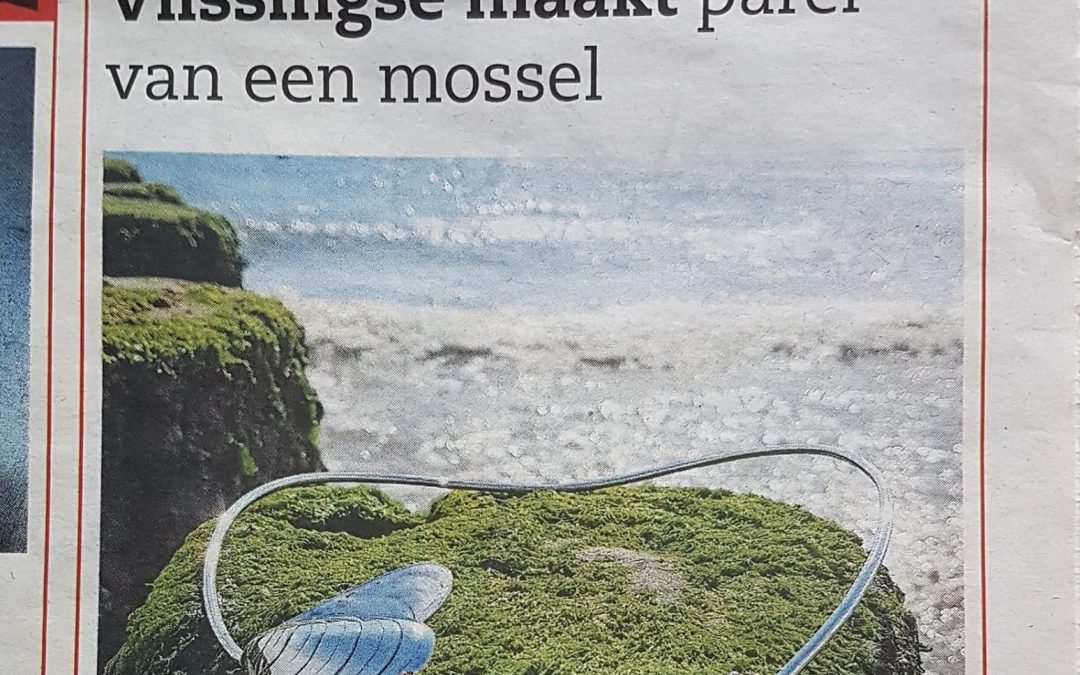 Zilveren spang met Zeeuwse mossel & Zeeuwse knop in De Faam