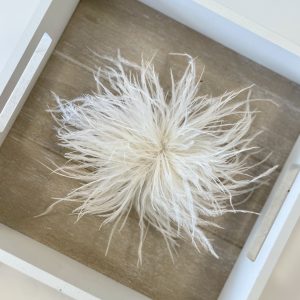 Broche Plume Blanc