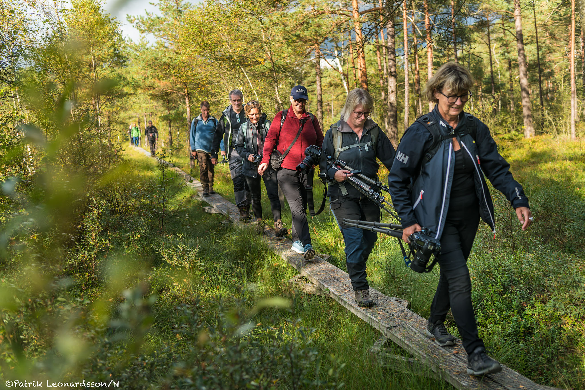 Rønnø Naturreservat 1
