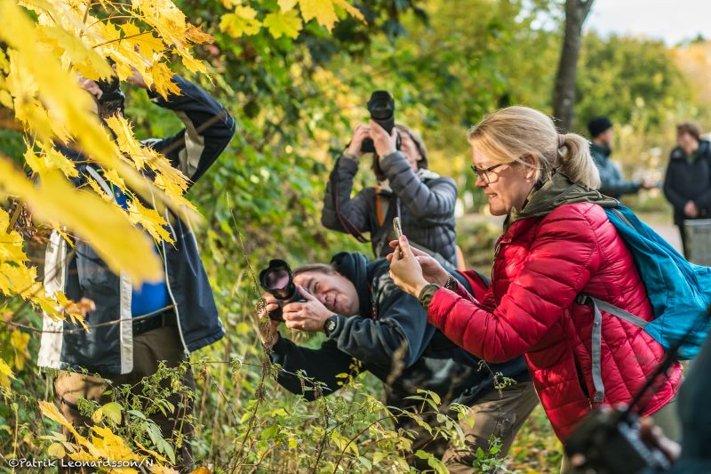 Fotovandring i Möllegård 3.