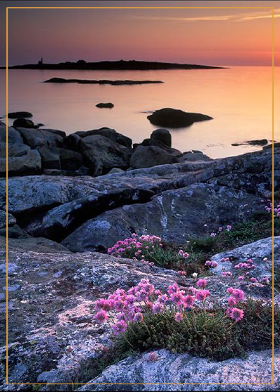 Vacker solnedgång i Halland.