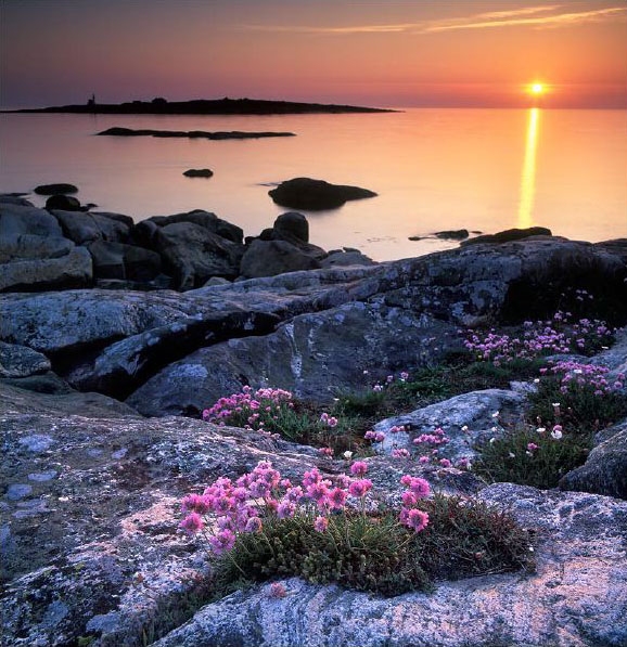 Fotokonst, Halmstad, Tylösand, Utställning