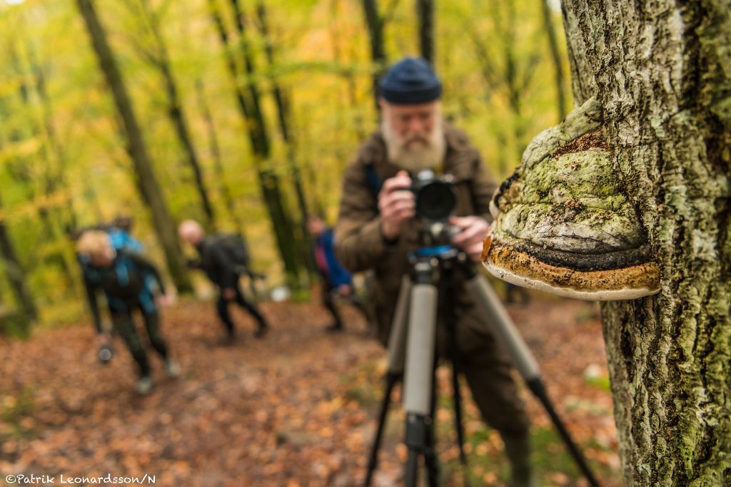 Skogsbo naturreservat 3