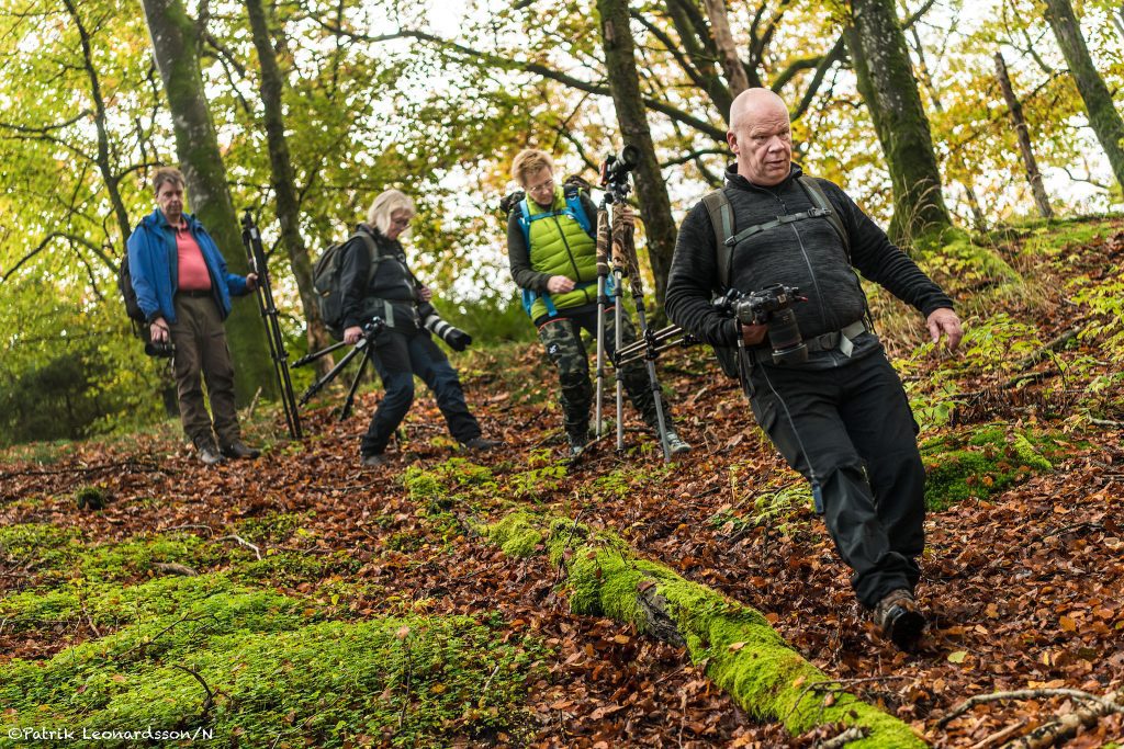 Skogsbo naturreservat 8