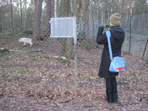 Tierpark mit Mütze