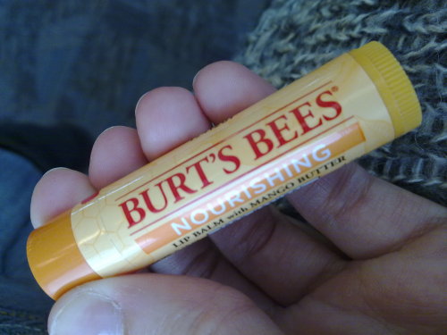 Burt's Bees Nourishing Lip Balm with Mango Butter