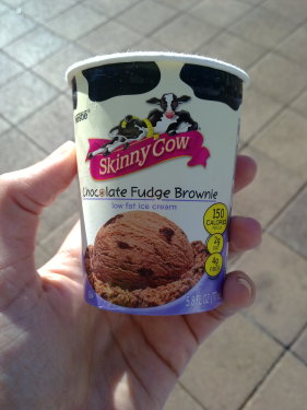 Skinny Cow Chocolate Fudge Brownie