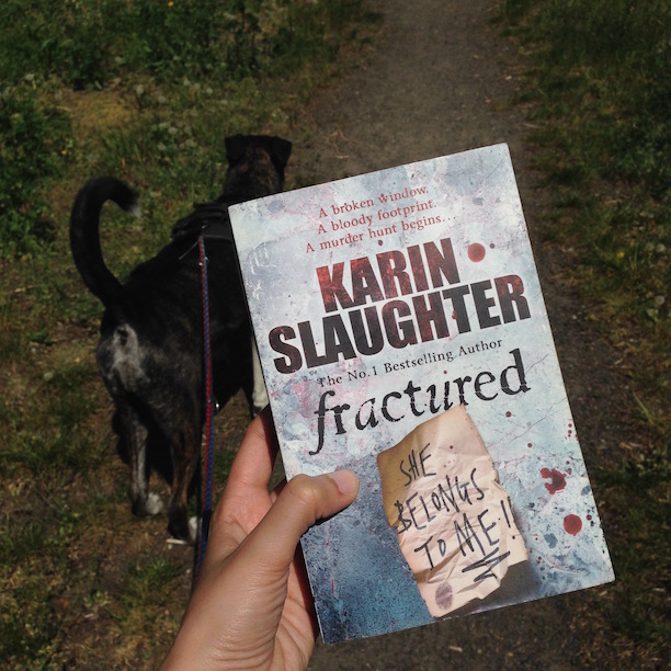 Fractured Karin Slaughter