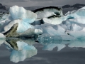 Jokulsarlon, gletsjermeer met ijsbergen