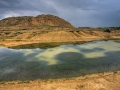 Las Bardenas Reales, meertje