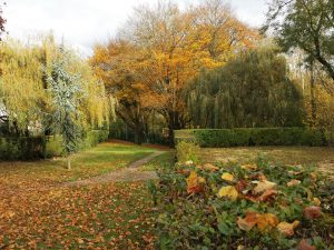 Couleurs d'automne 2017