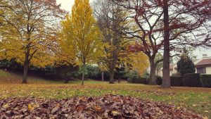 Couleurs d'automne 2017