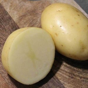 Pomme de terre, légume produit à Québriac, vendu à Québriac, Tinténiac, Dingé