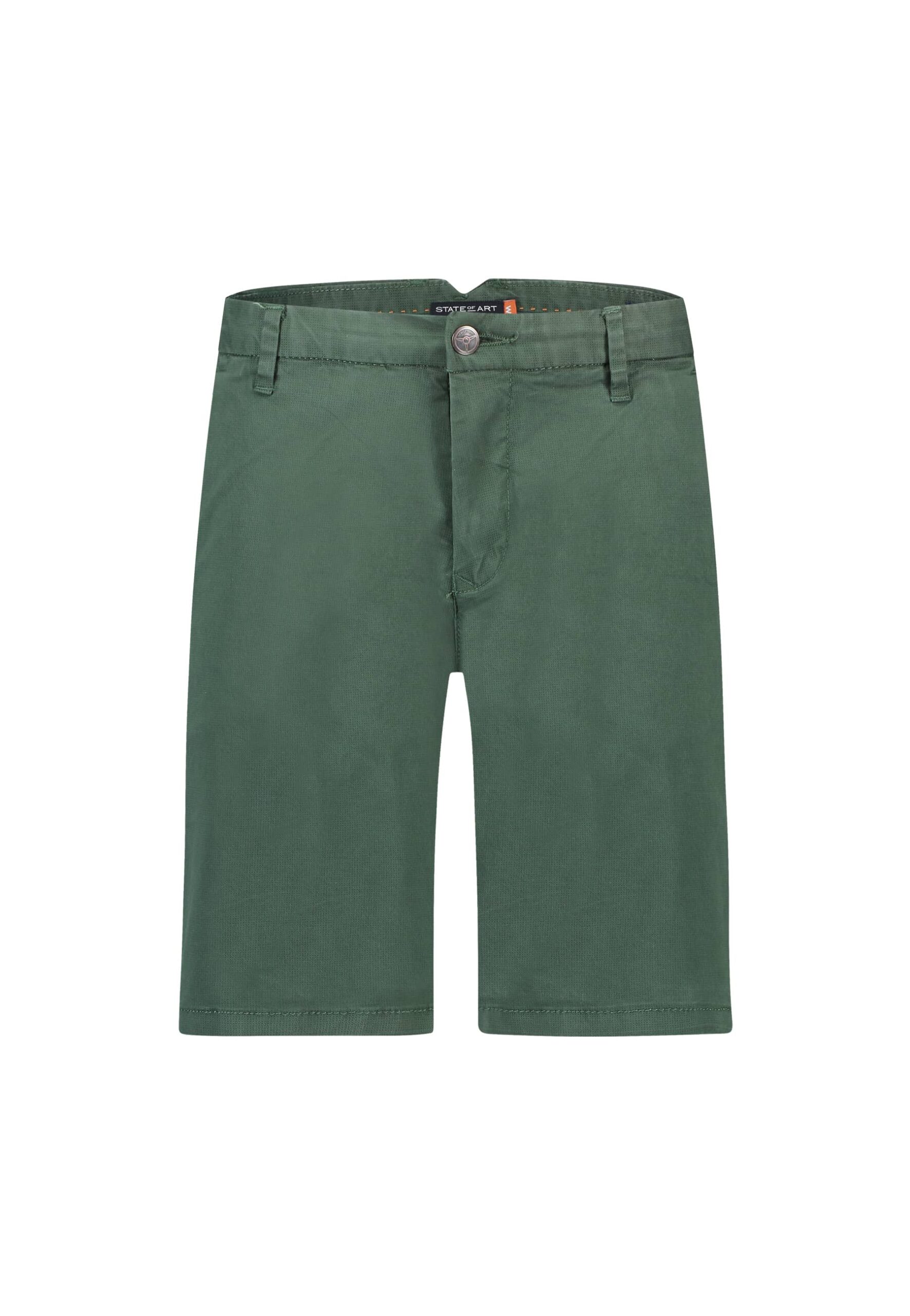 Shorts State of Art Levins