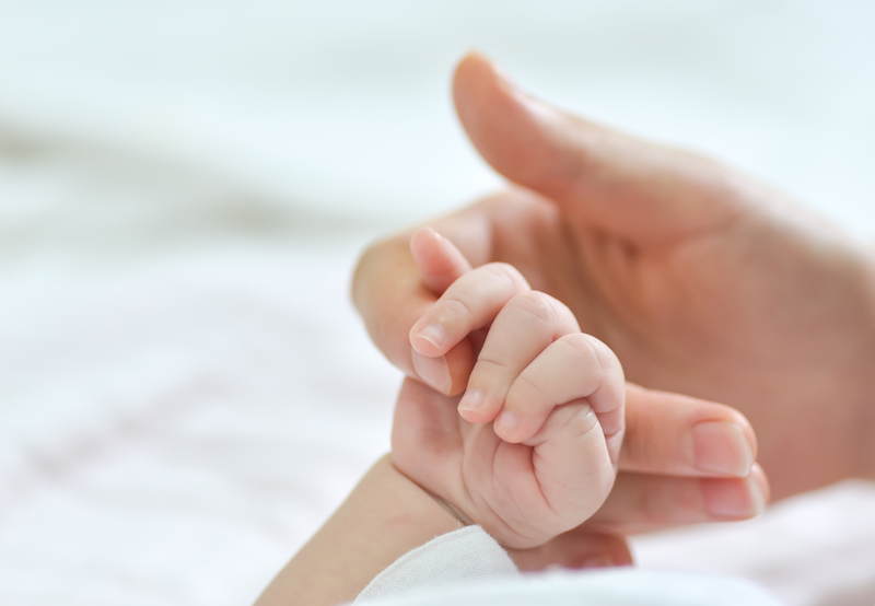 Ett barns hand håller en vuxen förälders hand
