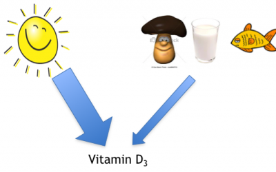 Har vitamin D betydelse för insjuknande i typ 1 diabetes?